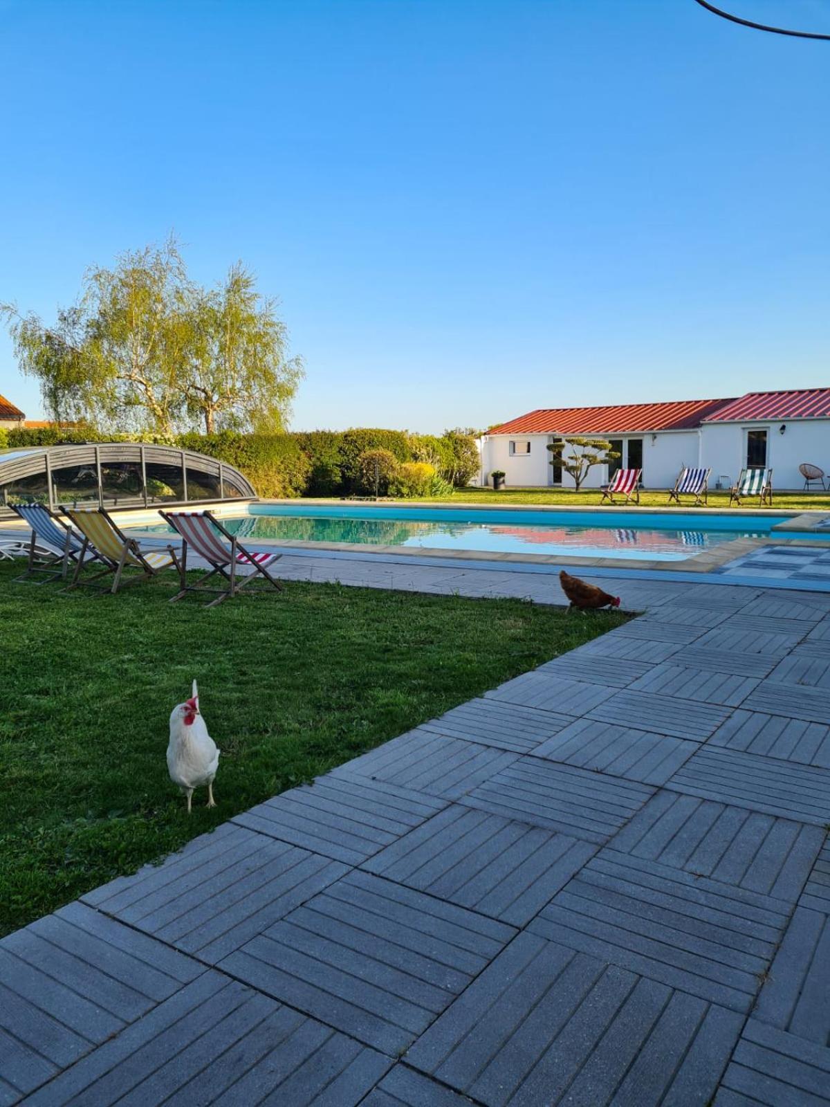 Ty Grain De Sel : Logement Privatif Avec Piscine, Jardin Et Patio Chauve Екстер'єр фото